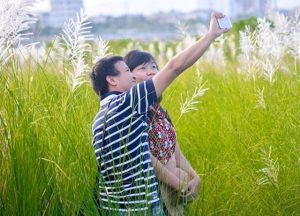 cánh đồng cỏ lau đà nẵng (1)