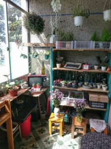 tiệm cà phê đà nẵng (1)